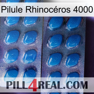 Pilule Rhinocéros 4000 viagra2